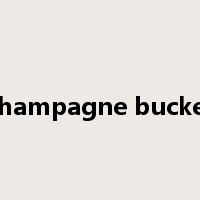 champagne bucket是什么意思
