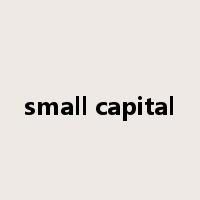 small capital是什么意思