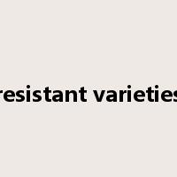 resistant varieties是什么意思