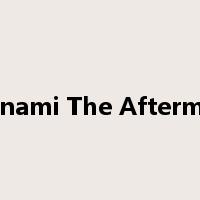 Tsunami The Aftermath是什么意思