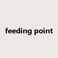 feeding point是什么意思