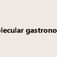 molecular gastronomy是什么意思