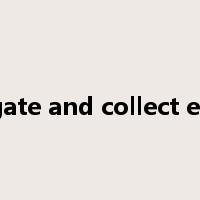 investigate and collect evidence是什么意思