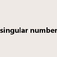 singular number是什么意思