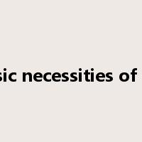 basic necessities of life是什么意思