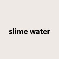 slime water是什么意思