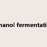 ethanol fermentation是什么意思