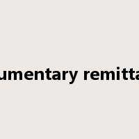 documentary remittance是什么意思