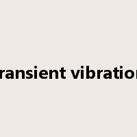 transient vibration是什么意思