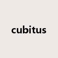 cubitus是什么意思