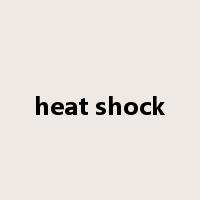 heat shock是什么意思