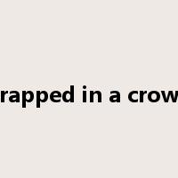 Trapped in a crowd是什么意思