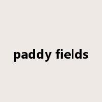 paddy fields是什么意思