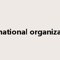international organizations是什么意思