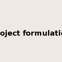 project formulation是什么意思