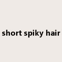 short spiky hair是什么意思