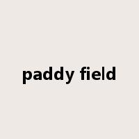 paddy field是什么意思