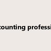 accounting profession是什么意思