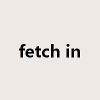 fetch in是什么意思