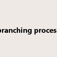branching process是什么意思