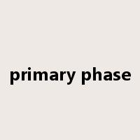 primary phase是什么意思