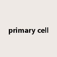 primary cell是什么意思