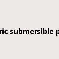 electric submersible pump是什么意思