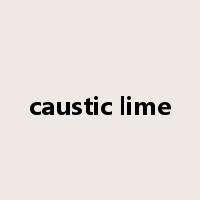 caustic lime是什么意思