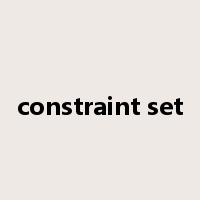 constraint set是什么意思