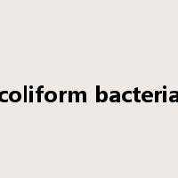 coliform bacteria是什么意思