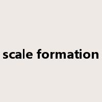 scale formation是什么意思