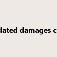 liquidated damages clause是什么意思