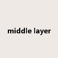 middle layer是什么意思