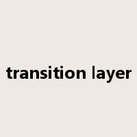 transition layer是什么意思