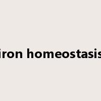 iron homeostasis是什么意思
