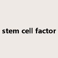stem cell factor是什么意思
