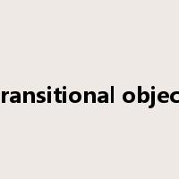 transitional object是什么意思