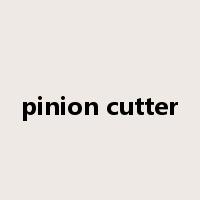 pinion cutter是什么意思