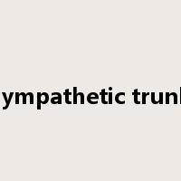 sympathetic trunk是什么意思
