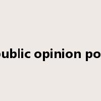 public opinion poll是什么意思
