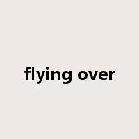 flying over是什么意思