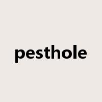 pesthole是什么意思