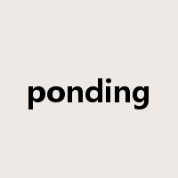 ponding是什么意思