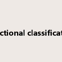 functional classification是什么意思