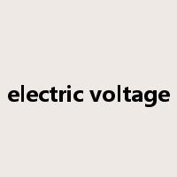 electric voltage是什么意思