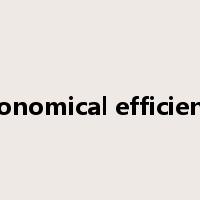 economical efficiency是什么意思