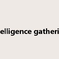 intelligence gathering是什么意思
