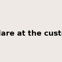 declare at the customs是什么意思