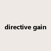 directive gain是什么意思