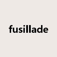 fusillade是什么意思